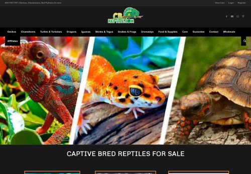 Captive Bred Reptiles