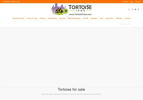 Tortoise Town | Tortoise for sale