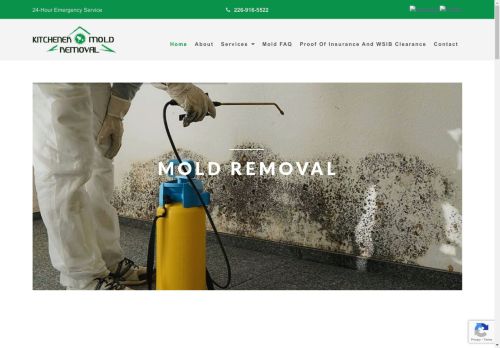 Mold Removal in Kitchener Ontario